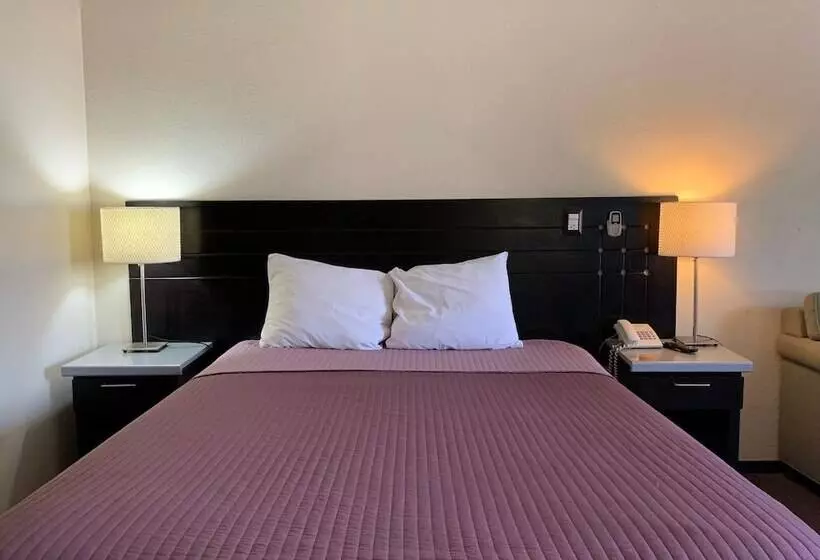 ホテル Posada Don Fernando