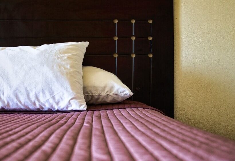 호텔 Posada Don Fernando