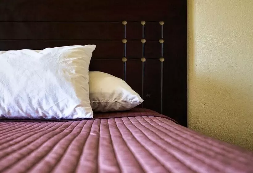 ホテル Posada Don Fernando