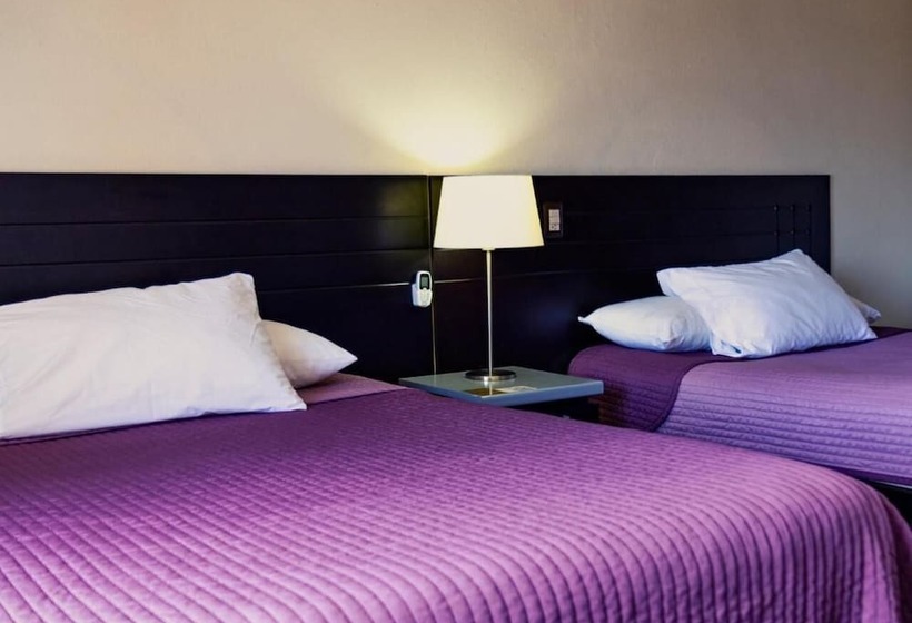 호텔 Posada Don Fernando