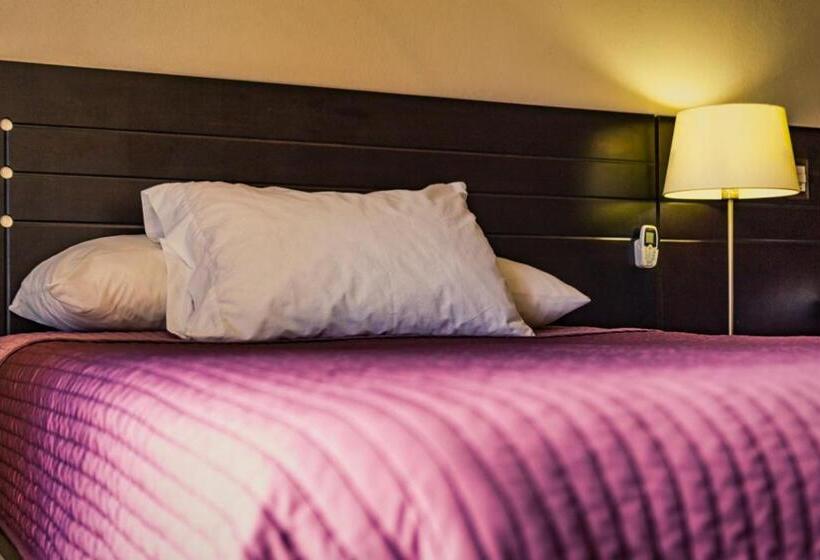 호텔 Posada Don Fernando