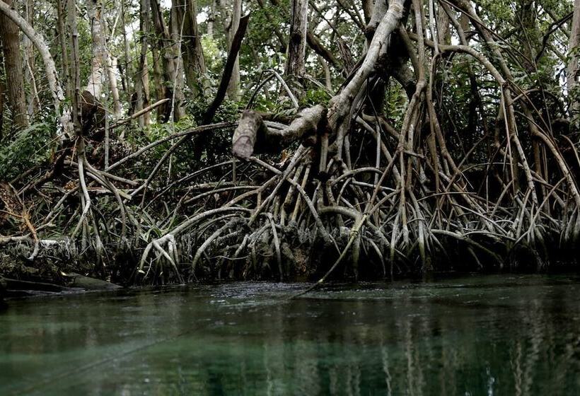 فندق Posada Lilia