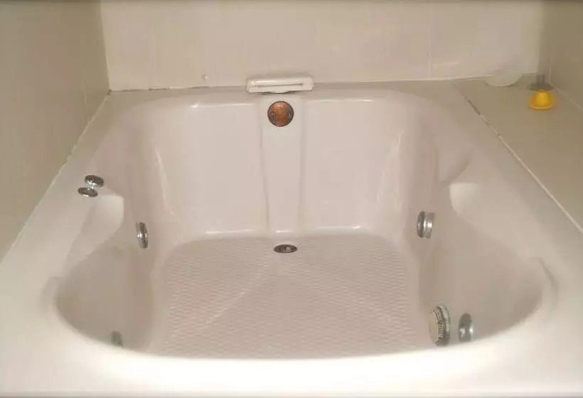 فندق Sara Suites Ixtapa