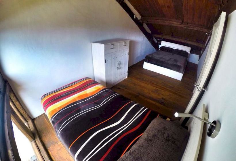 فندق صغير Snail Bed & Breakfast