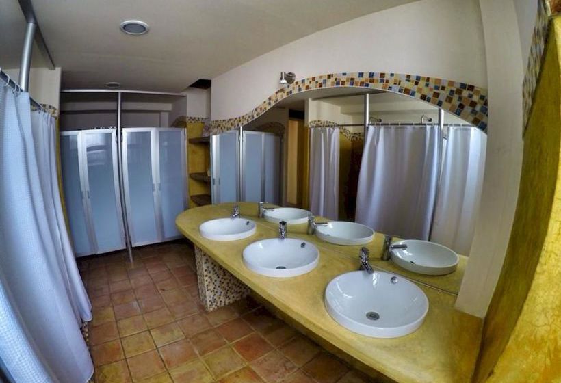 فندق صغير Snail Bed & Breakfast