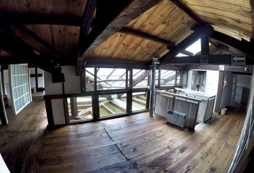 فندق صغير Snail Bed & Breakfast