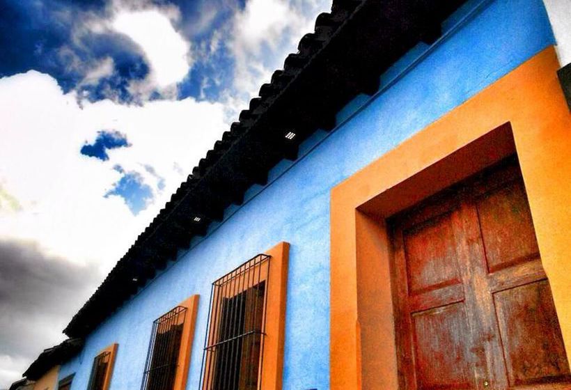 فندق صغير Snail Bed & Breakfast