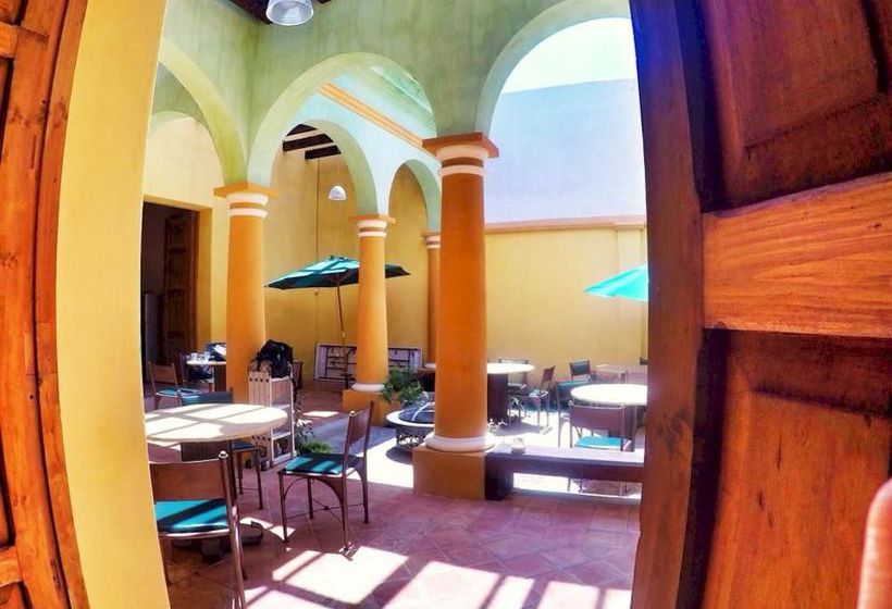 فندق صغير Snail Bed & Breakfast