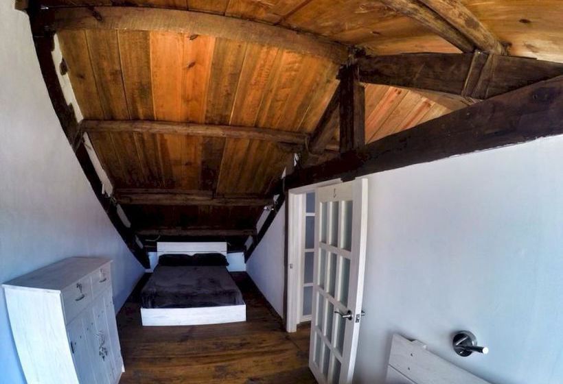 فندق صغير Snail Bed & Breakfast