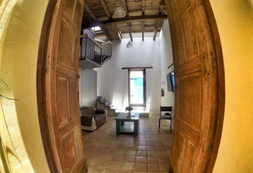 فندق صغير Snail Bed & Breakfast