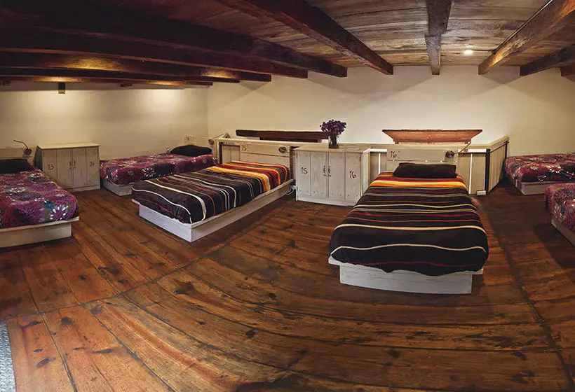 Hostel Snail Bed & Breakfast