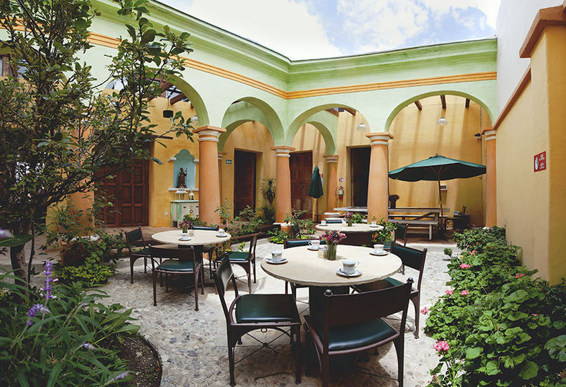 فندق صغير Snail Bed & Breakfast