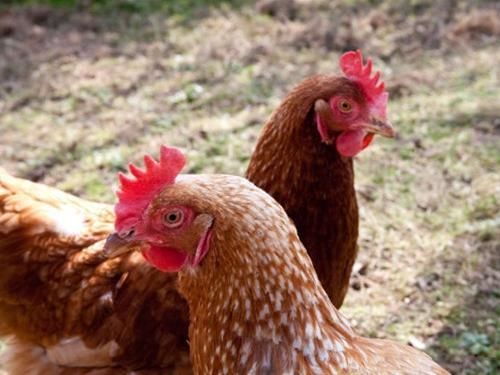 Southover Bed And Breakfast