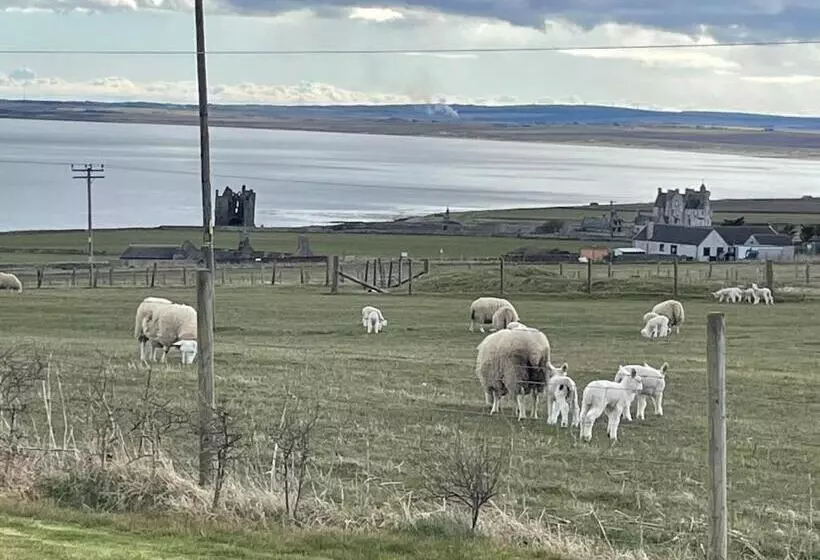 تختخواب و صبحانه A Castle View