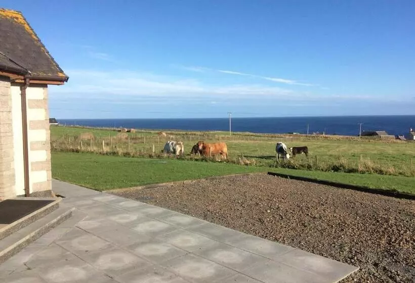 تختخواب و صبحانه A Castle View