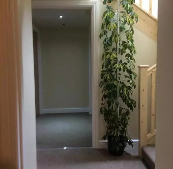 تختخواب و صبحانه A Castle View