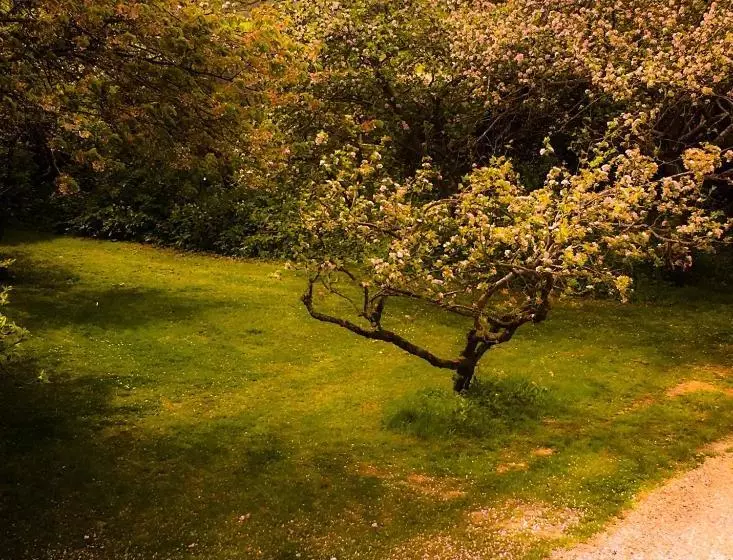 민박 Starnash Farmhouse