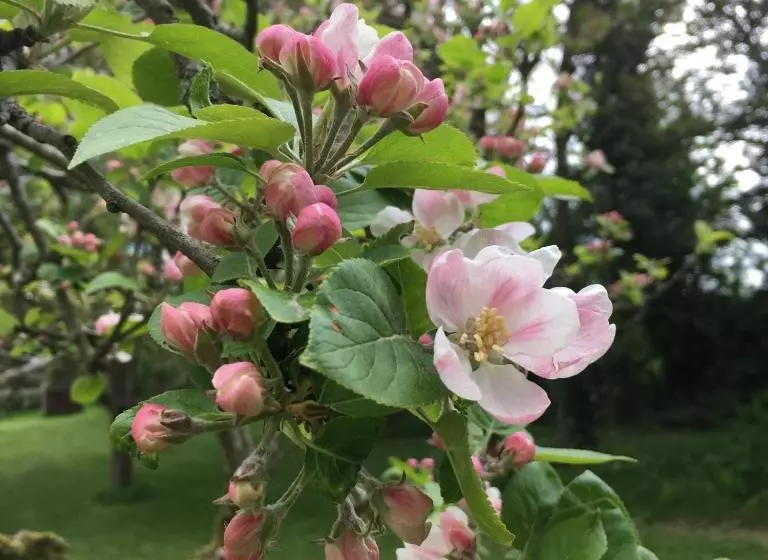 민박 Starnash Farmhouse