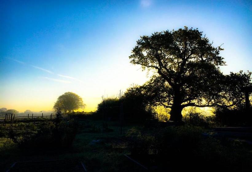 مبيت وإفطار Starnash Farmhouse