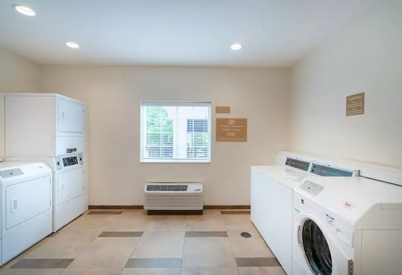 酒店 Candlewood Suites Auburn, An Ihg