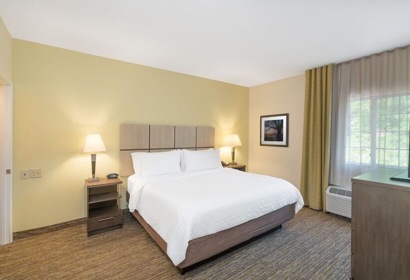 ホテル Candlewood Suites Auburn, An Ihg