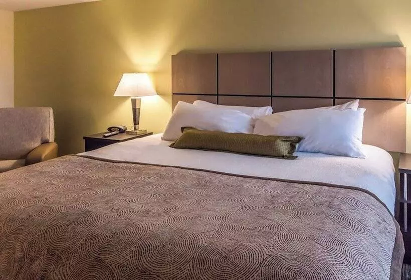 ホテル Candlewood Suites Gonzales   Baton Rouge Area, An Ihg