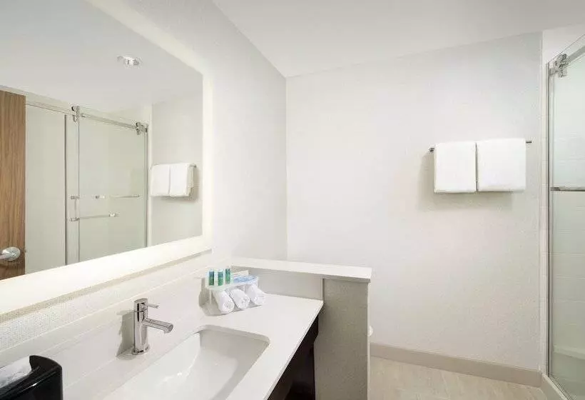 ホテル Holiday Inn Express & Suites New Braunfels, An Ihg