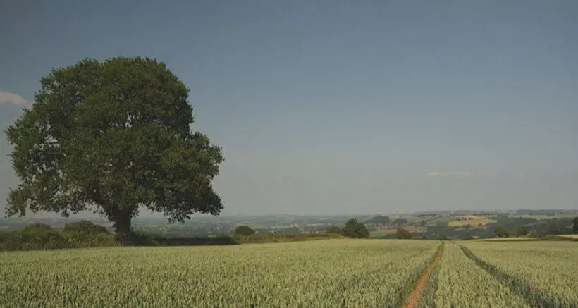 호텔 The Hills Farm