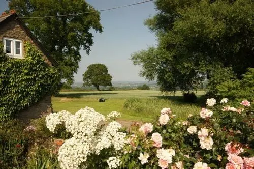 호텔 The Hills Farm