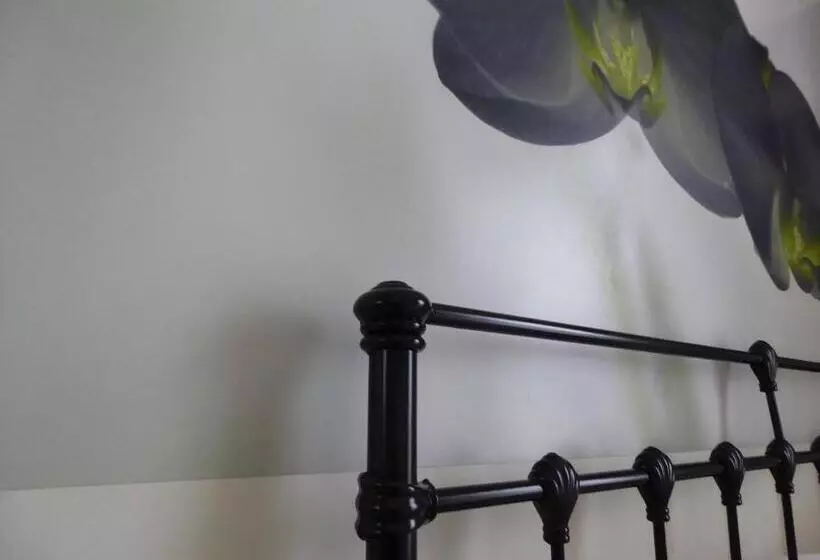 펜션 Bamboo Guest House