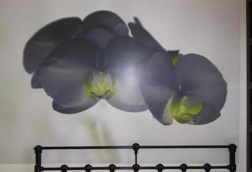 펜션 Bamboo Guest House