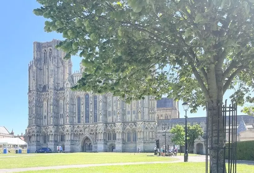 Пансион The Mount Somerton