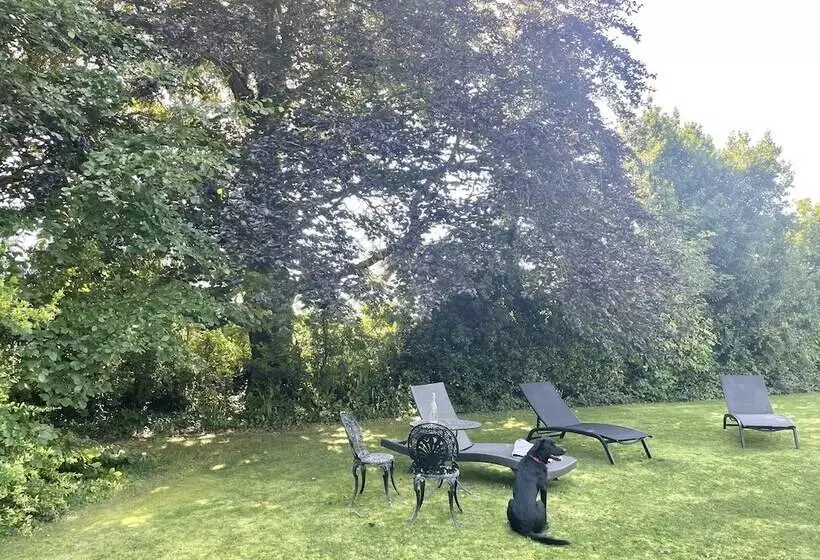 Пансион The Mount Somerton