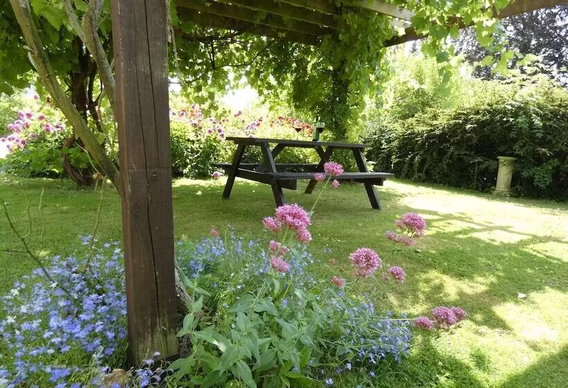 Пансион The Mount Somerton