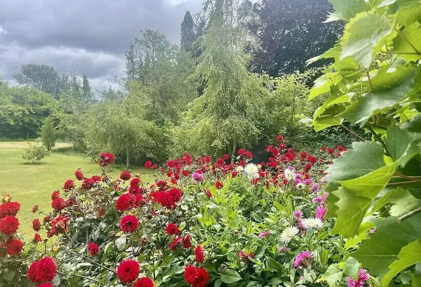 Пансион The Mount Somerton