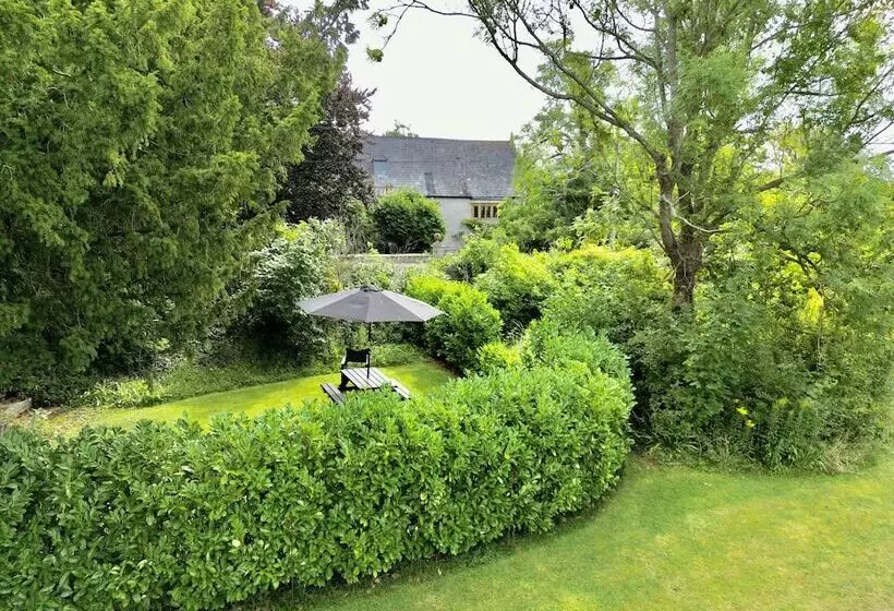 Пансион The Mount Somerton