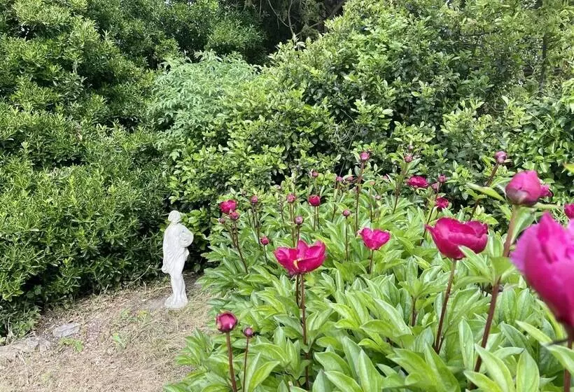 Пансион The Mount Somerton