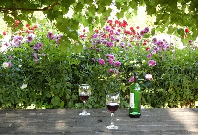 Пансион The Mount Somerton