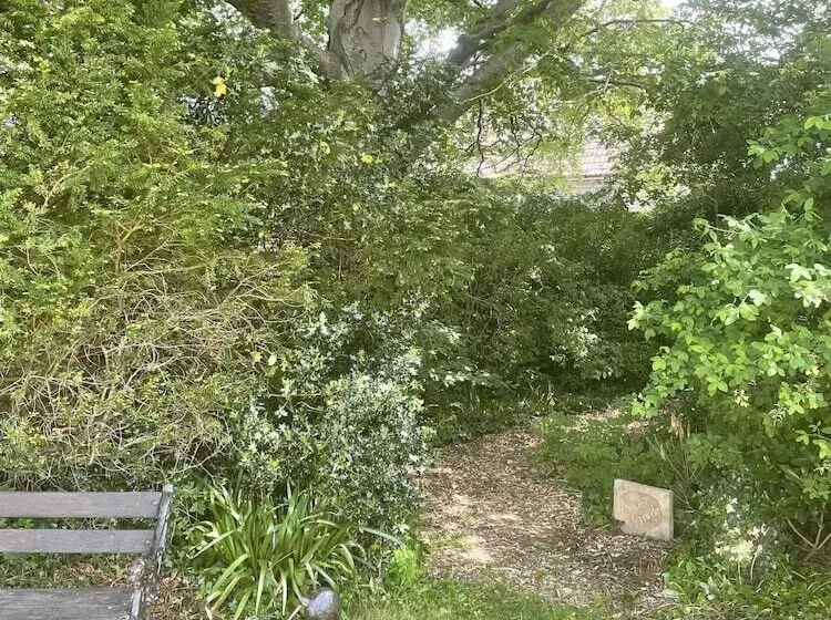 Пансион The Mount Somerton