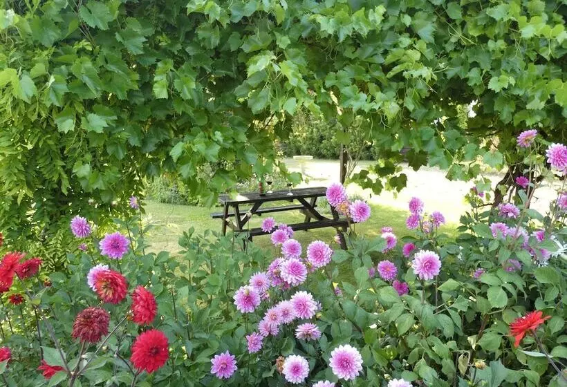 Пансион The Mount Somerton