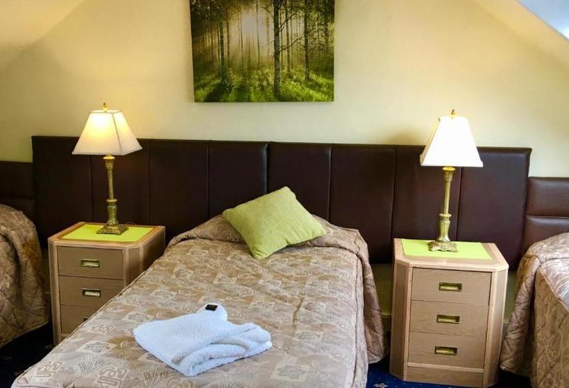 펜션 Watson Lodge Guest House