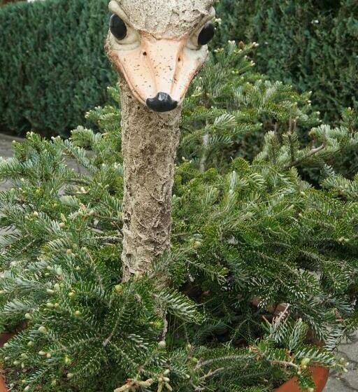 Pension Nr. 13   B&b