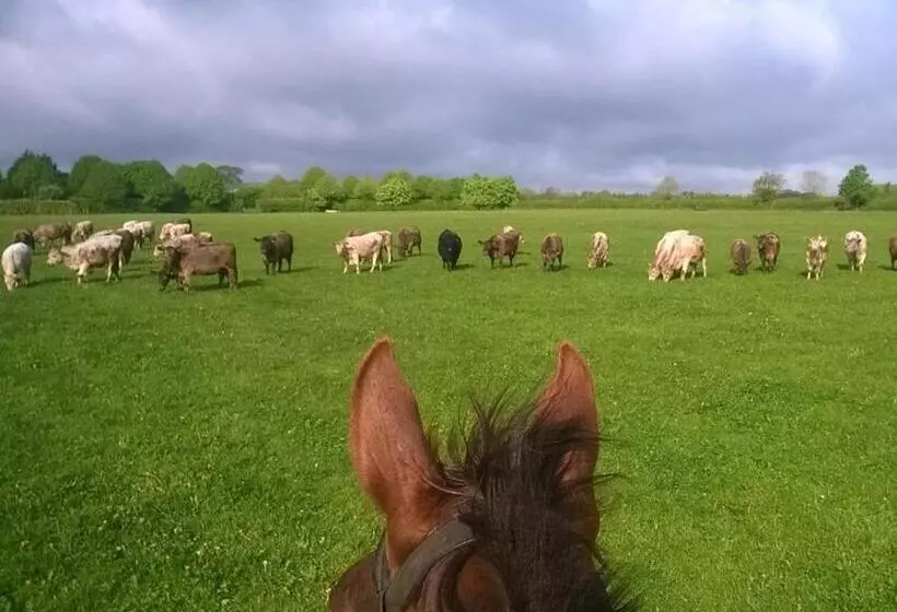 Battens Farm Cottages B&b
