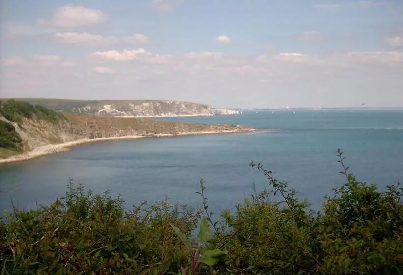 Bed and Breakfast Amberlea Guest House