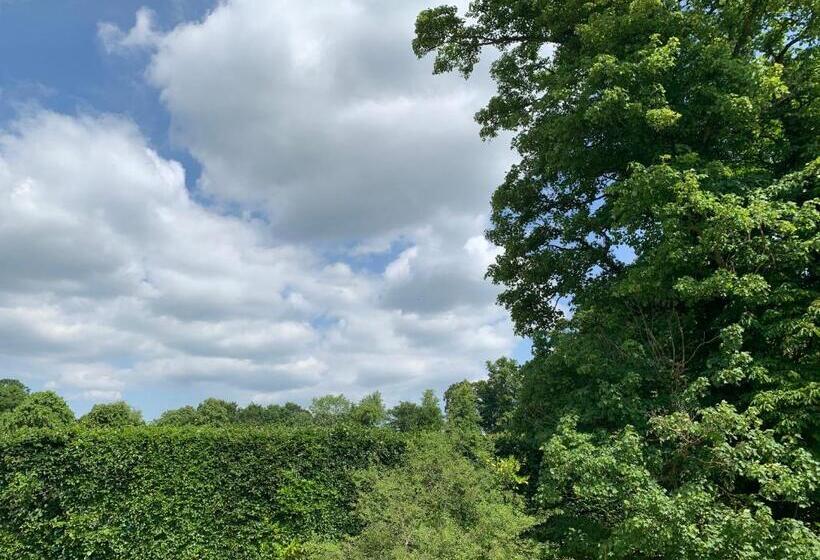 住宿加早餐  Badgemore Park