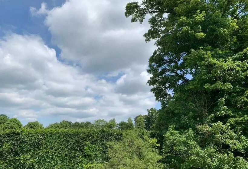 Bed and Breakfast Badgemore Park