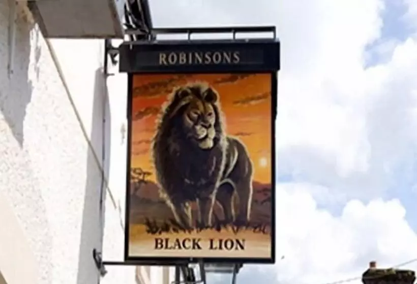 مبيت وإفطار Black Lion
