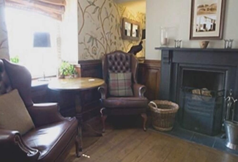 مبيت وإفطار Black Lion