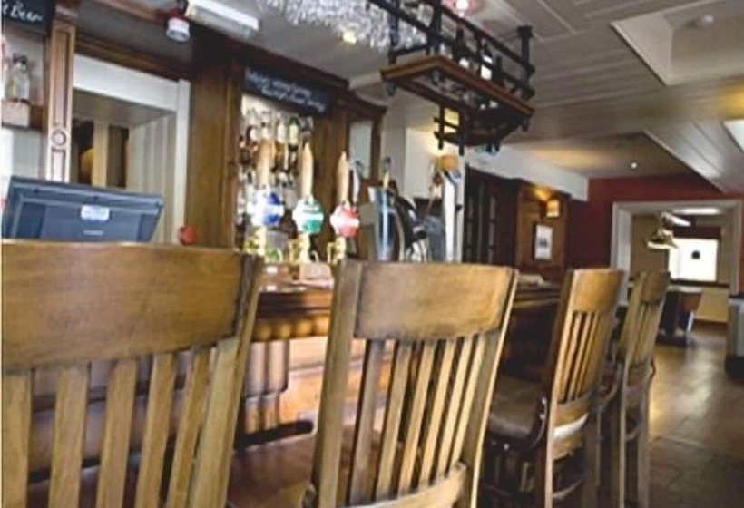 مبيت وإفطار Black Lion