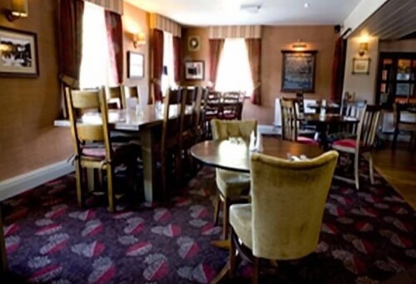 مبيت وإفطار Black Lion